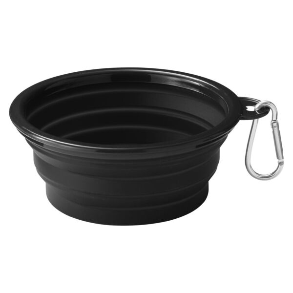 Collapsible Pet Bowl With Carabiner Thumbnail